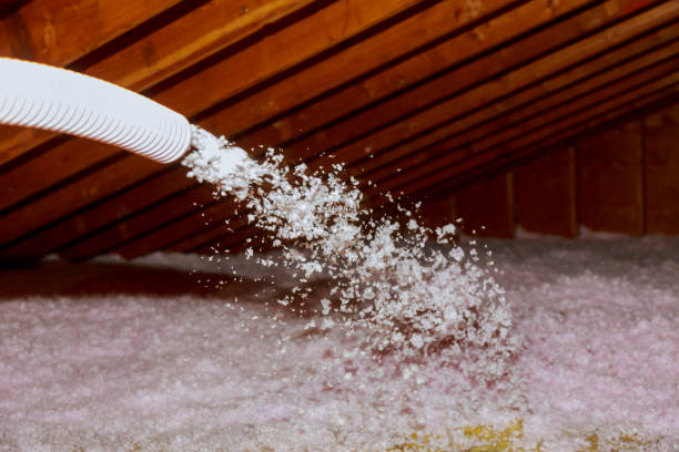 Best Cellulose Insulation in Pleasant Valley, WV