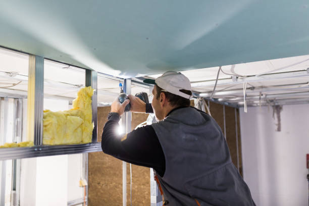 Best Specialized Insulation Services in Pleasant Valley, WV