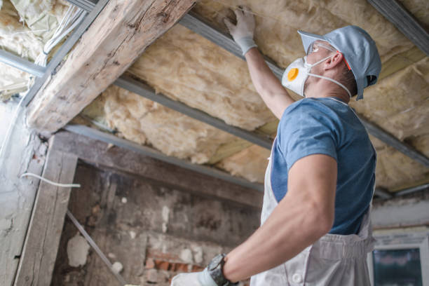 Types of Insulation We Offer in Pleasant Valley, WV